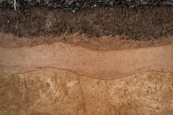 Know the most common types of clay on your build site before starting foundation construction to ensure you choose the right type of foundation for expansive soils.