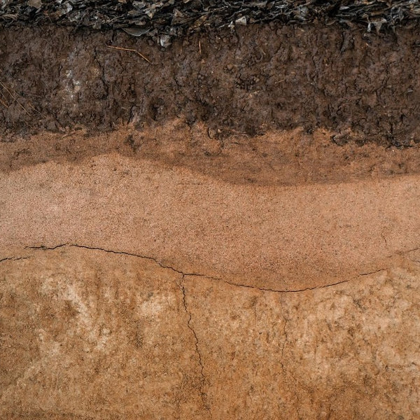 Clayey Soils Explained: What to Know Before Building – SmartSense  Structural Systems