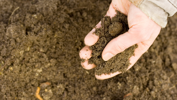 Look for the best soil for building foundation. 